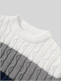 Bradley | Textured Cable-Knit Sweater in Royal blue and white