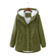 Forest Olive